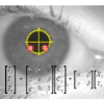 OEM Eye Tracking 